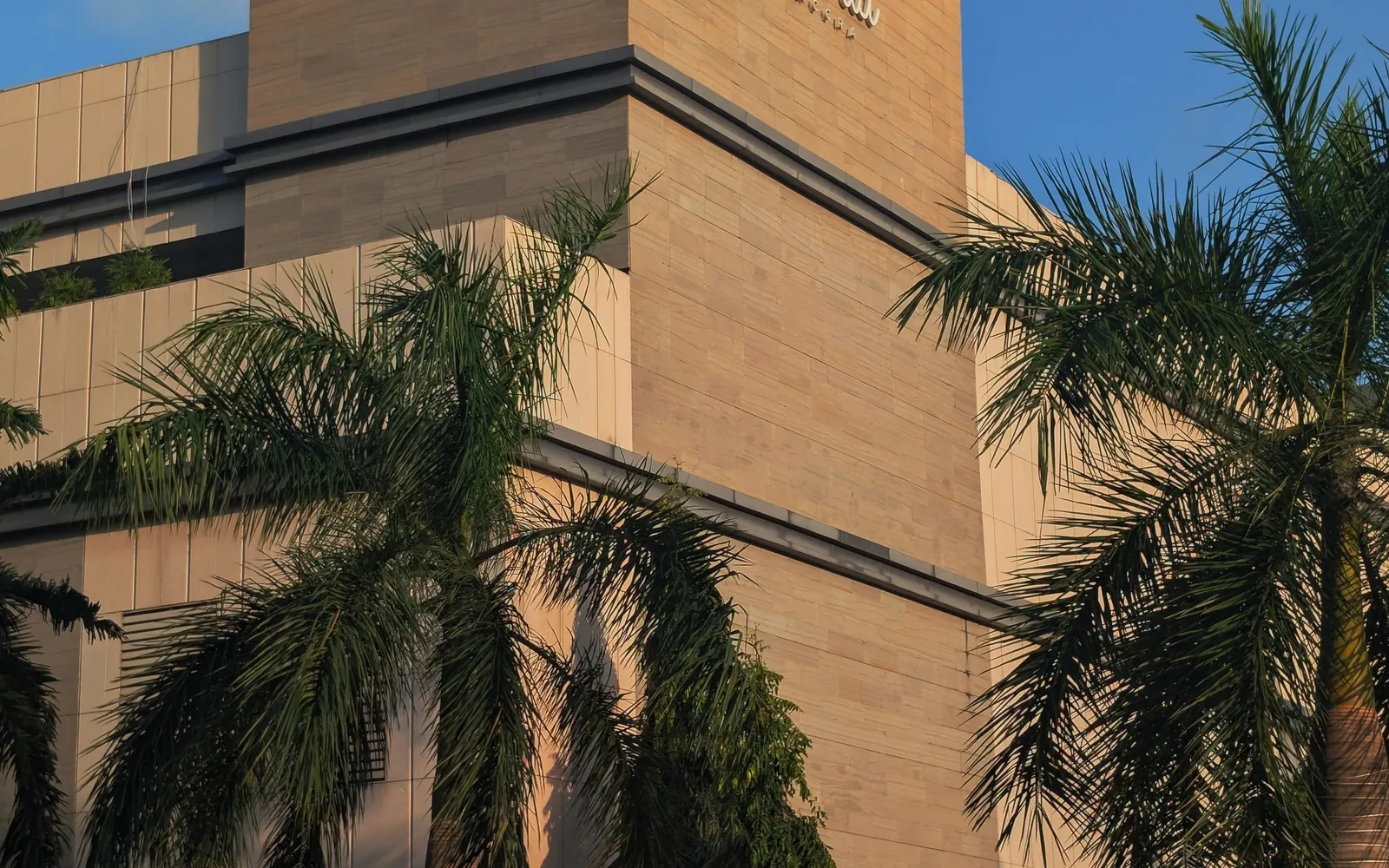 Contemporary shopping-center exterior with a geometric facade and palm trees.